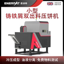 BM-D1090小型铸铁屑双出料压饼机