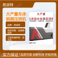 BM-6320大产量车床铜屑压饼机