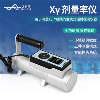 Xγ剂量率仪