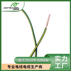 加拿大CSA认证TEW电气专用单芯线