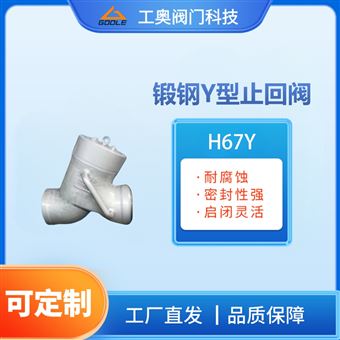 H67Y锻钢Y型止回阀