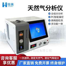 天然氣分析儀全自動(dòng)熱值測試常量組分一體機(jī)