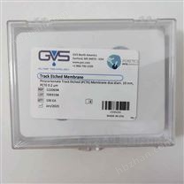 意大利GVS聚碳酸酯膜PCTE膜0.2um19mm