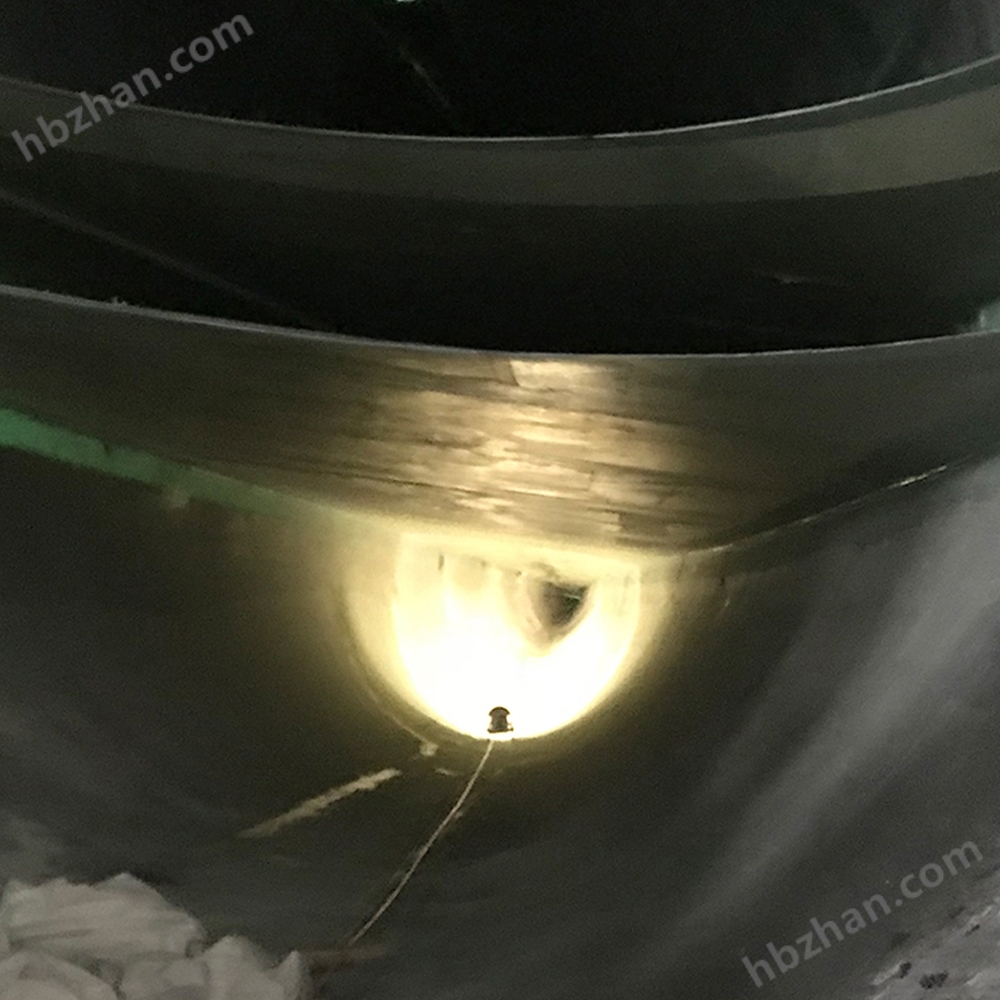 Wind turbine blade crawling detection robot