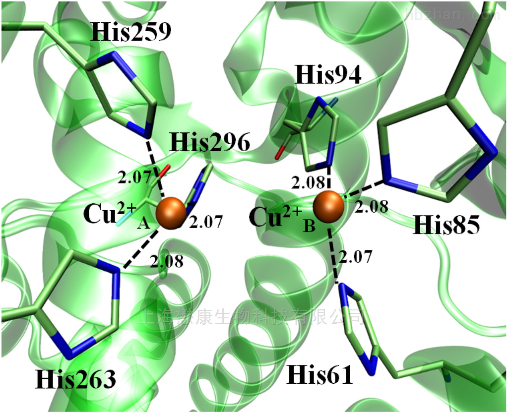 polyphenol oxidase 多酚氧化酶 工具酶