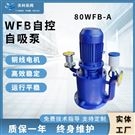 立式自吸式離心泵