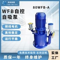 立式自吸式離心泵