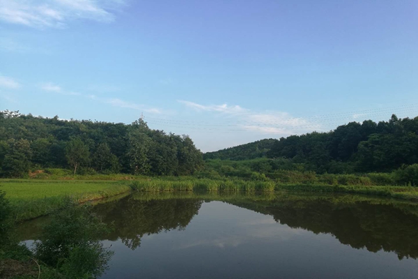 首創(chuàng)環(huán)保為京津冀生態(tài)安全護航 以智慧建設“首”護密云水庫