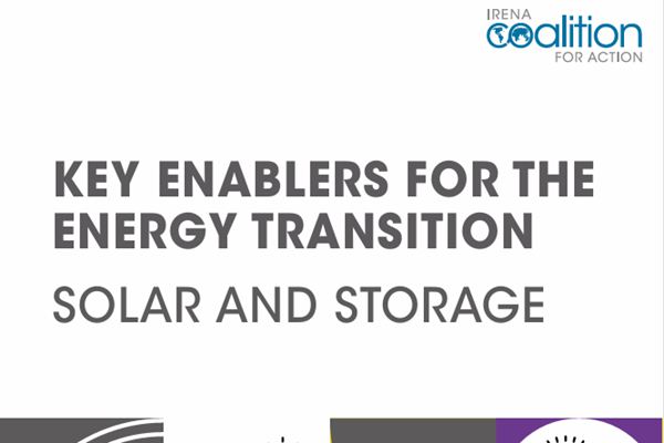 國際可再生能源署在寧德發(fā)布其全球首份儲能專題報告完整版