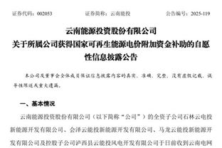 云南能投:全資子公司收到超2700萬元可再生能源電價附加資金補助