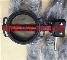 2507板脫硫蝶閥之產品特性與安裝注意事項