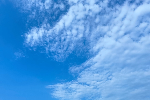 1.16億！龍凈環(huán)保預(yù)中標(biāo)