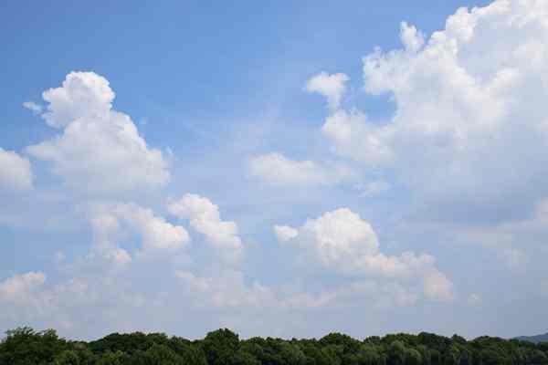 国家生态环境标准《大气挥发性有机物高值区卫星遥感识别技术指南（征求意见稿）》公开征求意见