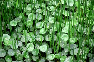 青海省海南州生态环境局联合共和县公安局开展国控站点周边环境专项整治行动