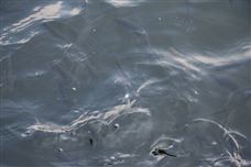 布局華中市場(chǎng)！廣業(yè)環(huán)保中標(biāo)湖北廣水污水項(xiàng)目