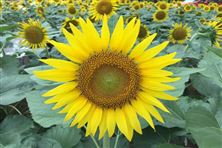 2025年度大禹水利科學(xué)技術(shù)獎形式審查結(jié)果公示！