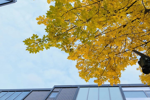 久吾高科賦能華南某電子產(chǎn)業(yè)園區(qū)生活污水資源化閉環(huán)體系