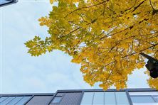 久吾高科賦能華南某電子產(chǎn)業(yè)園區(qū)生活污水資源化閉環(huán)體系