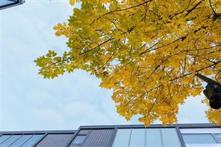 久吾高科赋能华南某电子产业园区生活污水资源化闭环体系