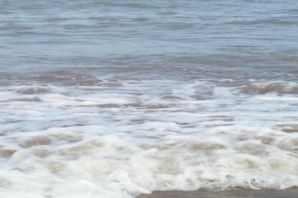 海水浴場(chǎng)水質(zhì)監(jiān)測(cè)實(shí)現(xiàn)精準(zhǔn)溯源與智能預(yù)警雙重突破！