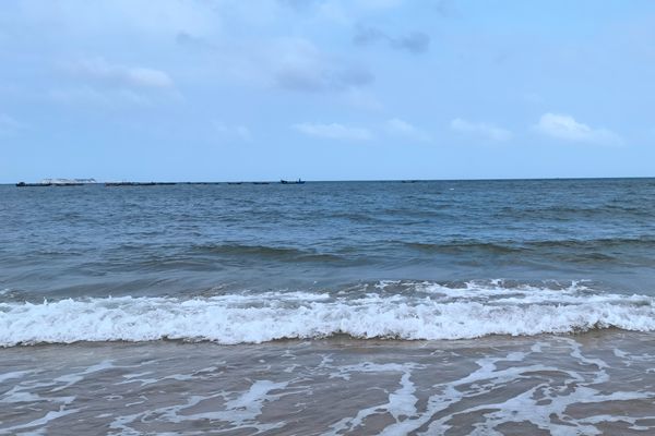 8626萬！河北揚芬港污水處理廠新建項目EPC工程總承包廢標(biāo)