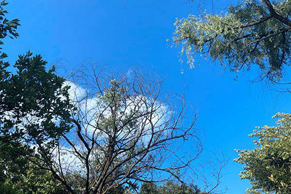 重慶啟動2026年一季度治氣攻堅 明確六大任務(wù)應(yīng)對冬春季污染