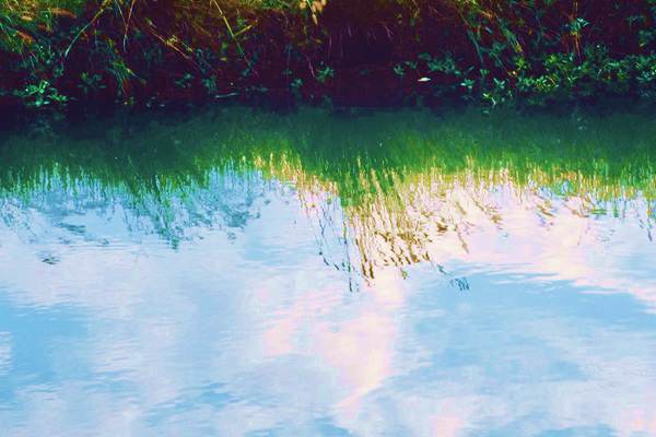 《广东省污染土壤、工业废水处理污泥危险特性鉴别报告技术审查要点》征求意见