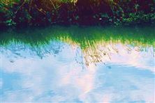 《廣東省污染土壤、工業(yè)廢水處理污泥危險特性鑒別報告技術(shù)審查要點》征求意見