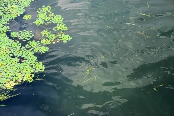 環(huán)保新質(zhì)生產(chǎn)力 | 神華包頭煤化工外排廢水脫鹽達標排放改造項目