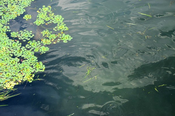 辽宁28.5亿EOD项目中标候选人公示