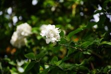 征集！“十五五”土壤污染防治資金、地下水污染防治資金、農(nóng)村環(huán)境整治資金項(xiàng)目評(píng)審專家