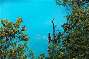 深圳市生态环境局发布关于做好2025年度碳排放权交易管理相关工作的通知！