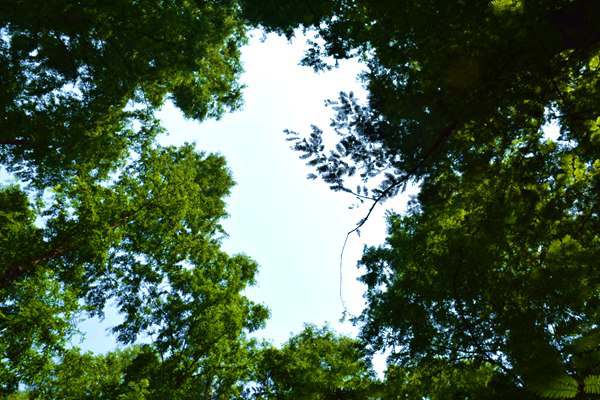 中央第一生態(tài)環(huán)境保護(hù)督察組向北京市反饋督察情況