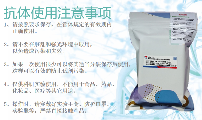 小鼠抗人IgG1 制備方法