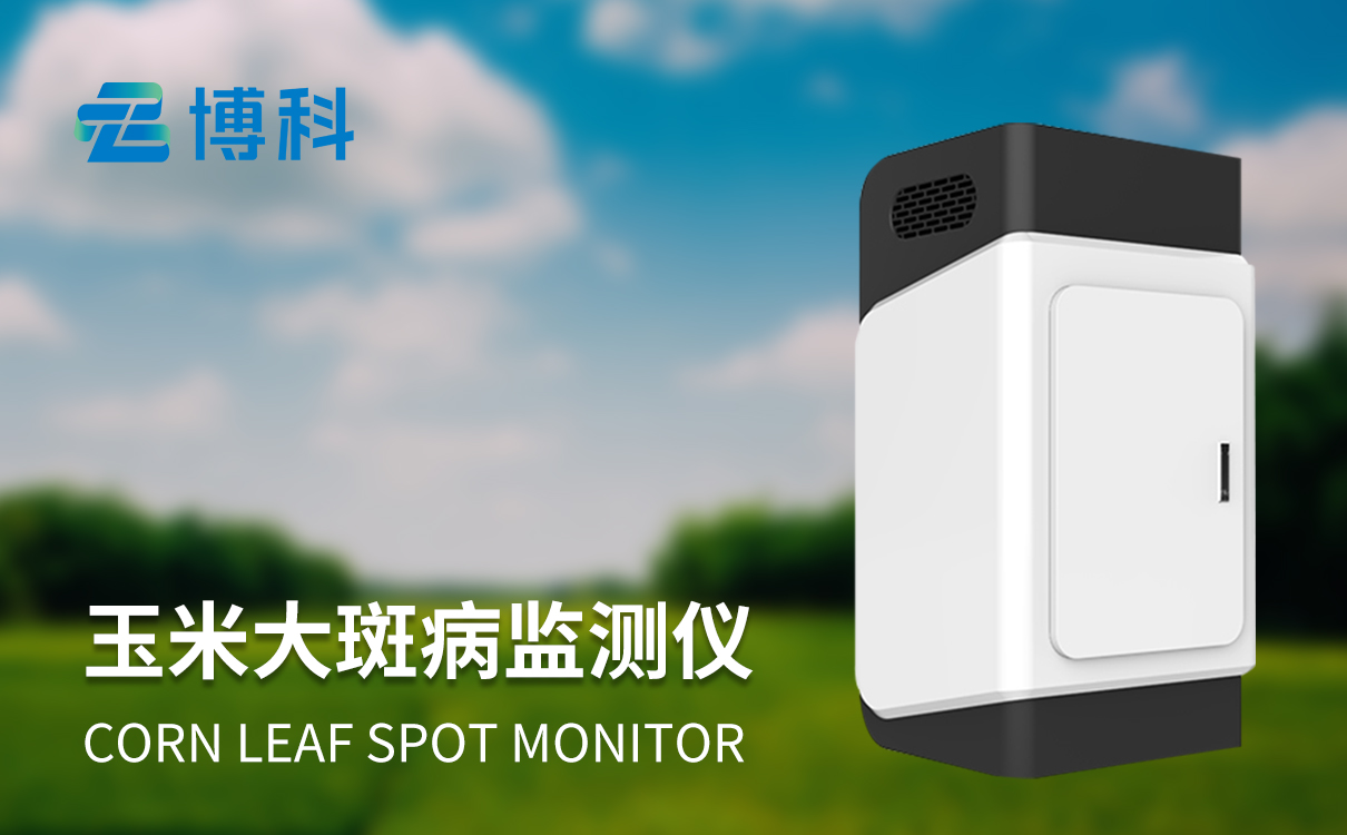 玉米大斑病調(diào)查標(biāo)準(zhǔn) 玉米大斑病調(diào)查標(biāo)準(zhǔn)