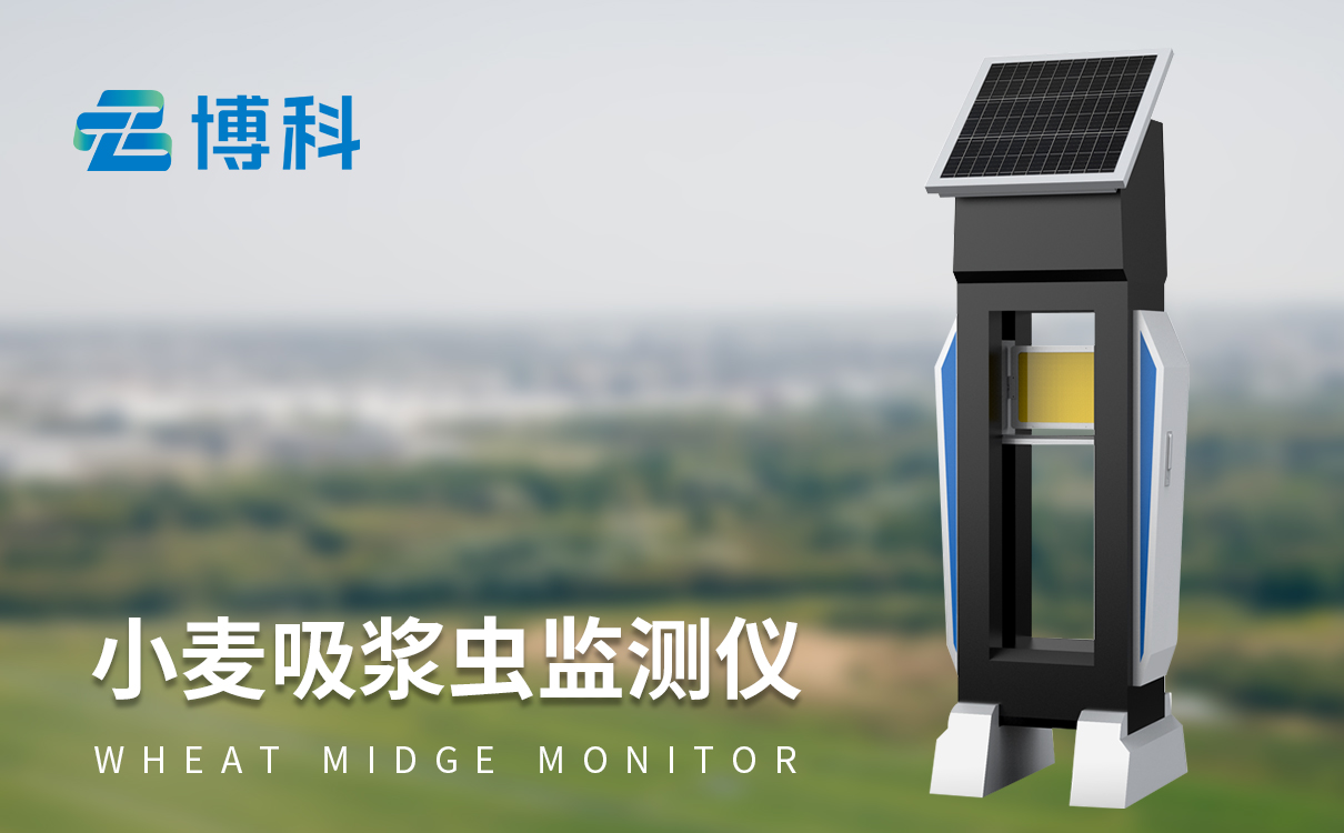 小麦吸浆虫监测仪 小麦吸浆虫监测仪