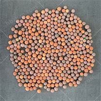 芬頓催化劑 污水深度處理 高級催化氧化