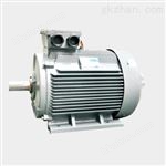 380V一級能效 超超高效節(jié)能電機